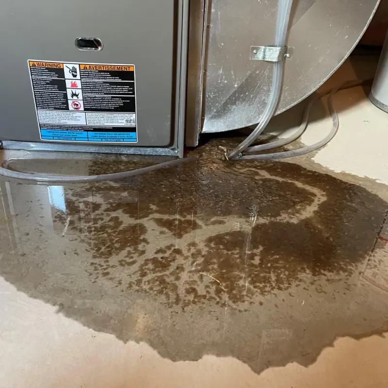 Appliance Leak Cleanup in Veedersburg, IN